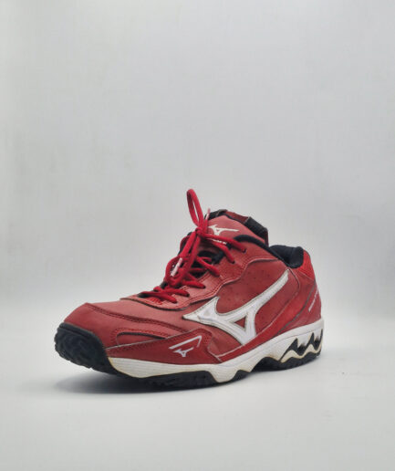 Red Mizuno